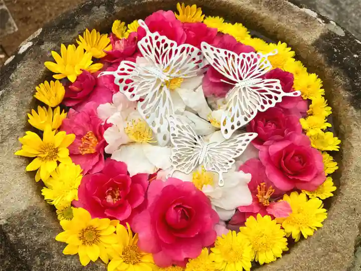 真言宗 善通寺派 薬王寺の手水舎