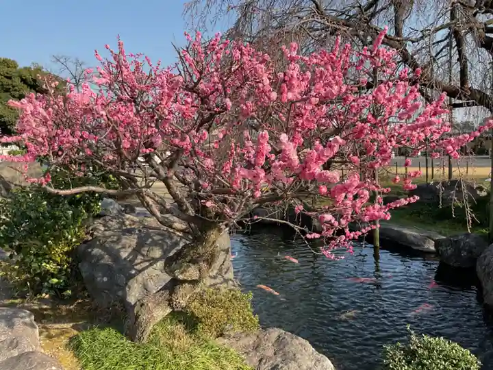正眼寺(愛知県)