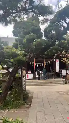 鳩森八幡神社の本殿・本堂