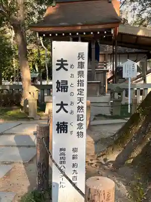伊弉諾神宮(兵庫県)
