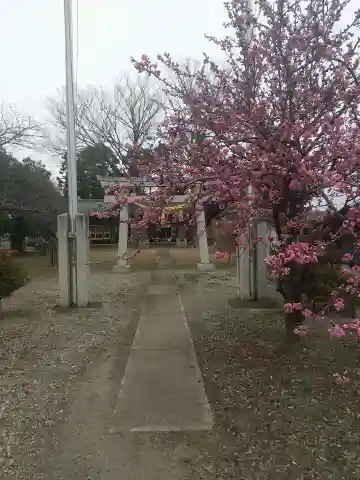 諏訪神社(埼玉県)