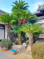 西願寺(大阪府)