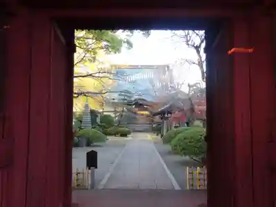 本興寺の本殿・本堂