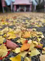 伊達神社の自然