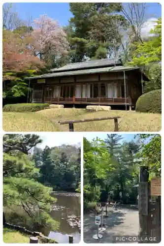 明治神宮(東京都)