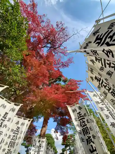 開成山大神宮の自然