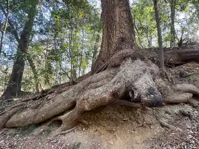 宝登山神社奥宮(埼玉県)