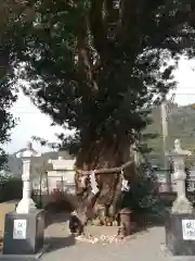 陶山神社の自然