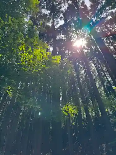 金剛山瑞峯寺(金剛不動尊) の御朱印