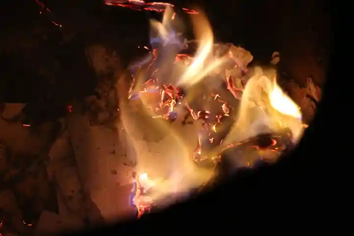 くまくま神社(導きの社 熊野町熊野神社)(東京都)