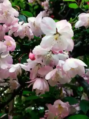 龍光寺(東京都)