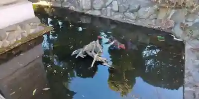 富島弁財天(栃木県)