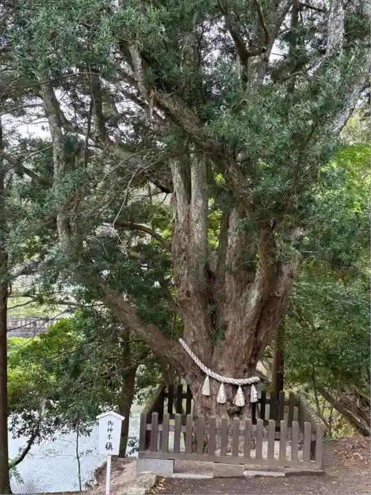 安房神社(千葉県)