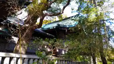 霞浦神社の本殿・本堂