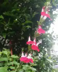 尾張大國霊神社（国府宮）の自然