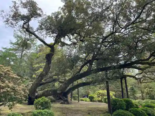歌泉堂（春日大社神苑萬葉植物園内鎮座）(奈良県)