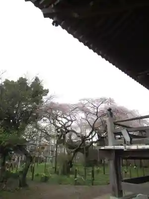 般若院(茨城県)