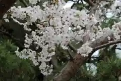 本能寺(京都府)