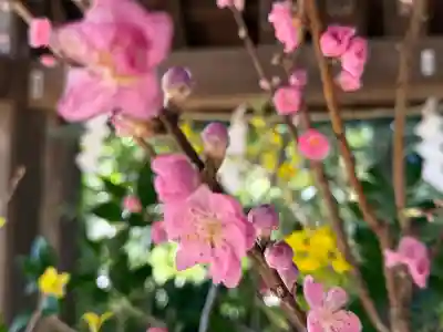 赤坂氷川神社(東京都)