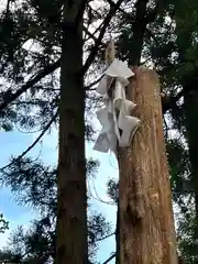 山家神社のお祭り