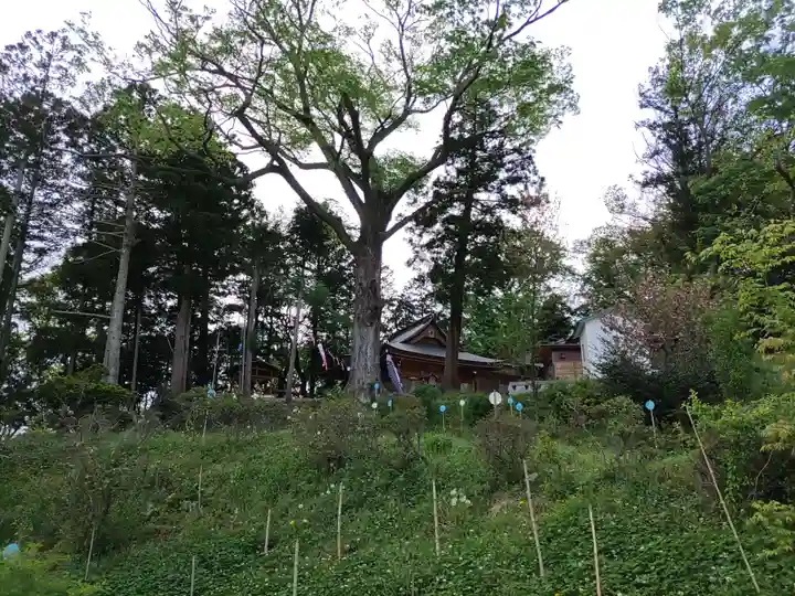 阿久津「田村神社」(郡山市阿久津町)旧社名:伊豆箱根三嶋三社(福島県)