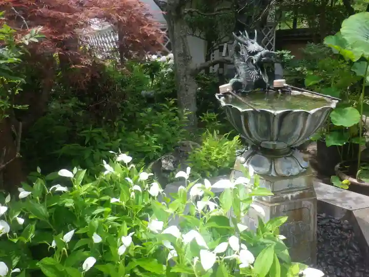 成就院の手水舎