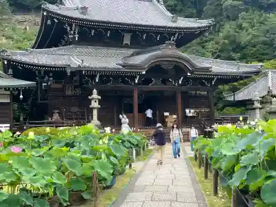 三室戸寺(京都府)