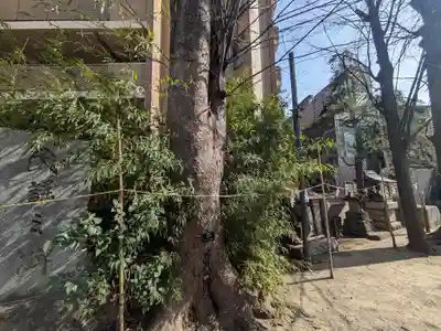 亀有香取神社(東京都)