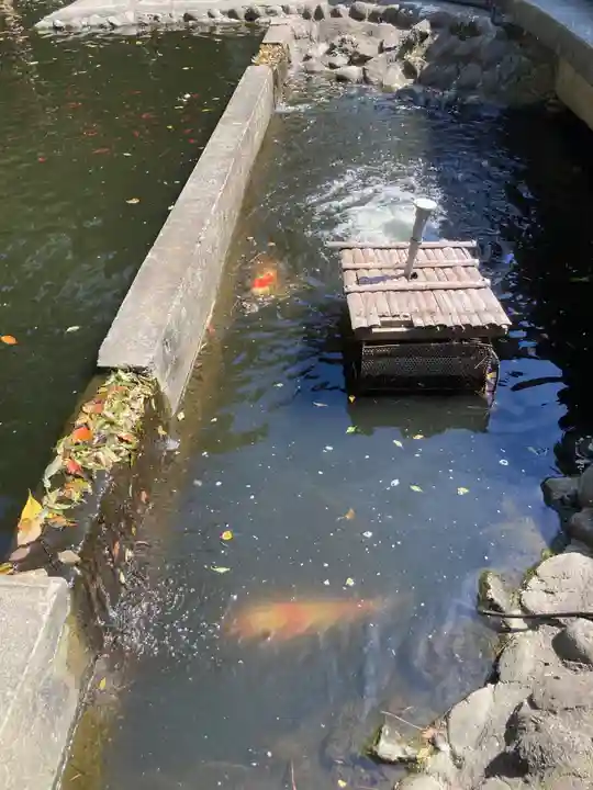 平塚八幡宮(神奈川県)