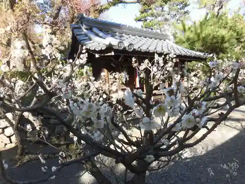 御香宮神社(京都府)