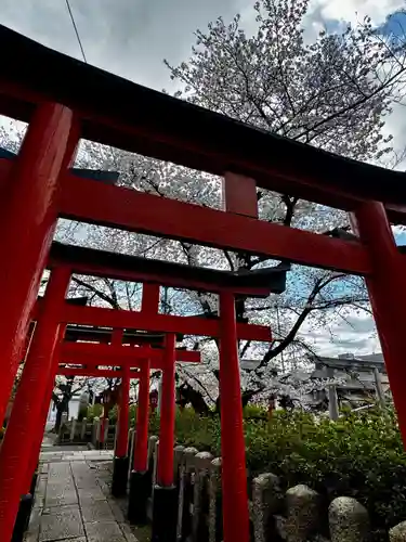 六孫王神社(京都府)
