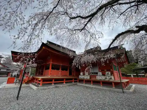 富士山本宮浅間大社の本殿・本堂