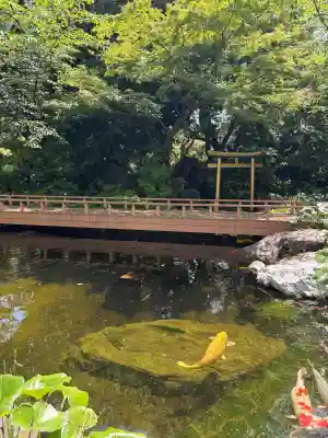 愛宕神社の{uncategorized: "未分類", other: "その他", undefined: "問題あり", building: "その他建物", grave: "お墓", sacred_gate: "鳥居", guardian: "狛犬", statue: "像", buddha: "仏像", history: "歴史", nature: "自然", garden: "庭園", animal: "動物", pagoda: "塔", temizu: "手水舎", mountain_gate: "山門・神門", sanctuary: "本殿・本堂", subordinate: "末社・摂社", art: "芸術", scenery: "景色", jizo: "地蔵", ema: "絵馬", goshuin: "御朱印", omikuji: "おみくじ", items: "授与品その他", amulet: "お守り", goshuincho: "御朱印帳", eats: "食事", festival: "お祭り", votive_dance: "神楽", shichigosan: "七五三参", wedding: "結婚式", experience: "体験その他", initially: "初詣", around: "周辺", anti_infection: "感染症対策"}