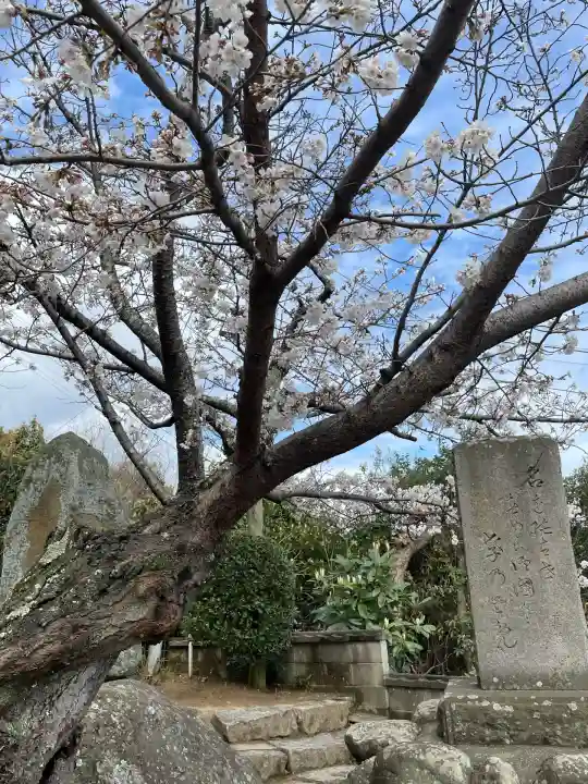 千光寺(広島県)