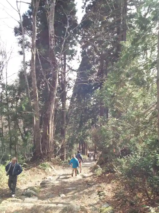 戸隠神社奥社の周辺