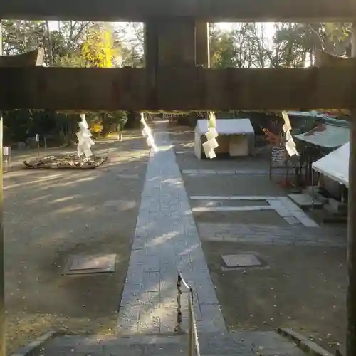 篠崎浅間神社の鳥居