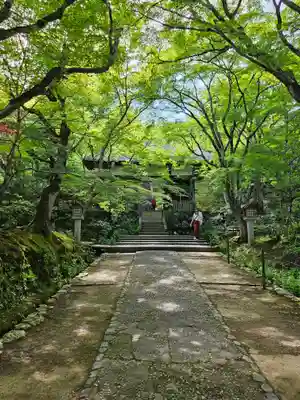 常寂光寺(京都府)