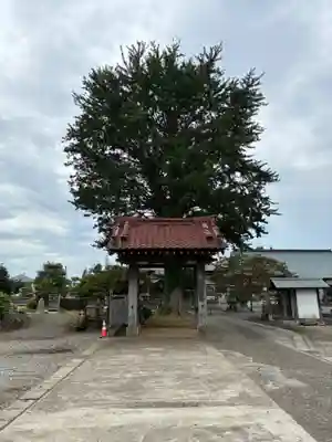 円光院(千葉県)