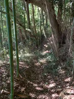 笹原神社(千葉県)