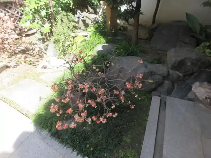 どんどろ大師善福寺(大阪府)