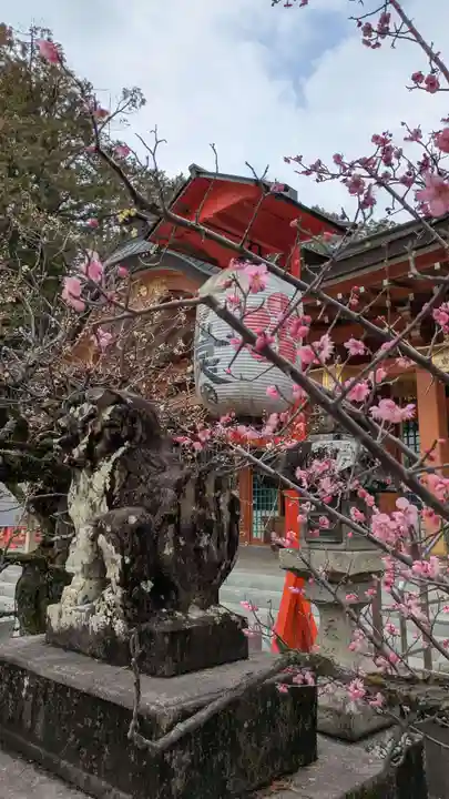 長岡天満宮の狛犬