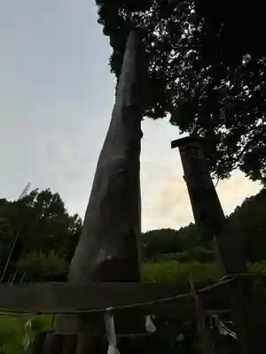 諏訪大社上社前宮(長野県)