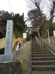 八日市普活廼神社の鳥居