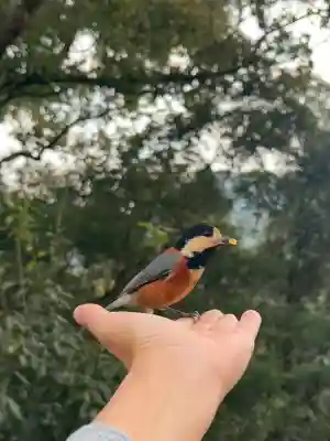 金刀比羅宮の{uncategorized: "未分類", other: "その他", undefined: "問題あり", building: "その他建物", grave: "お墓", sacred_gate: "鳥居", guardian: "狛犬", statue: "像", buddha: "仏像", history: "歴史", nature: "自然", garden: "庭園", animal: "動物", pagoda: "塔", temizu: "手水舎", mountain_gate: "山門・神門", sanctuary: "本殿・本堂", subordinate: "末社・摂社", art: "芸術", scenery: "景色", jizo: "地蔵", ema: "絵馬", goshuin: "御朱印", omikuji: "おみくじ", items: "授与品その他", amulet: "お守り", goshuincho: "御朱印帳", eats: "食事", festival: "お祭り", votive_dance: "神楽", shichigosan: "七五三参", wedding: "結婚式", experience: "体験その他", initially: "初詣", around: "周辺", anti_infection: "感染症対策"}