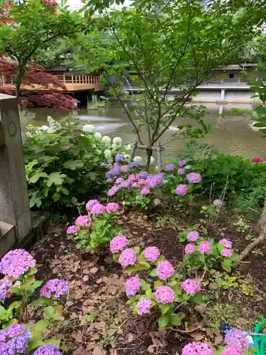 生田神社(兵庫県)