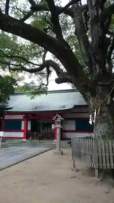 大依羅神社の本殿・本堂