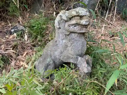 浅間神社の狛犬