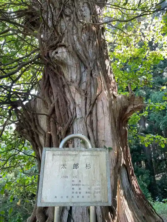 箟峯寺(宮城県)