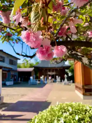 諏訪神社(宮城県)