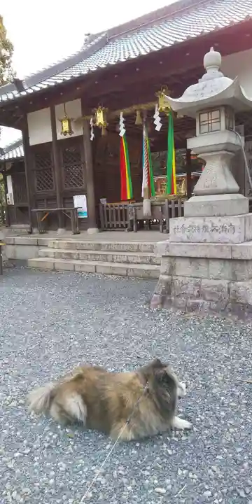 丹生官省符神社の動物